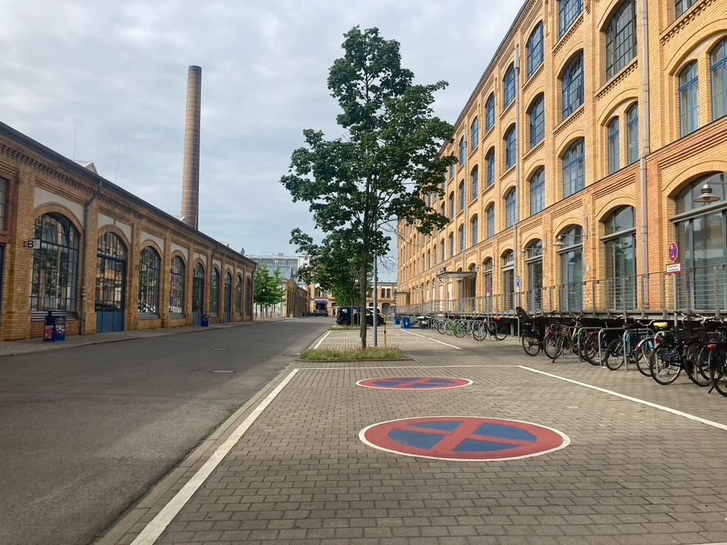 Berlin macht’s vor: Ein Baumgesetz für mehr Klima-Grün