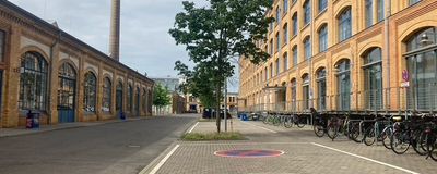 Berlin macht’s vor: Ein Baumgesetz für mehr Klima-Grün