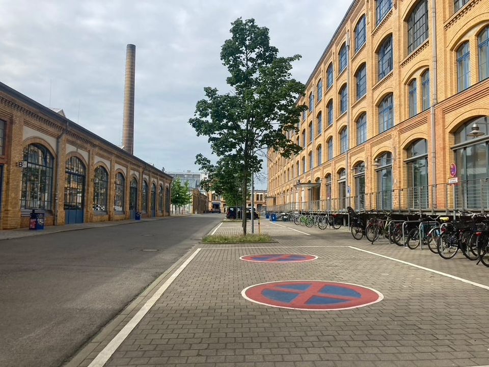 Berlin macht’s vor: Ein Baumgesetz für mehr Klima-Grün