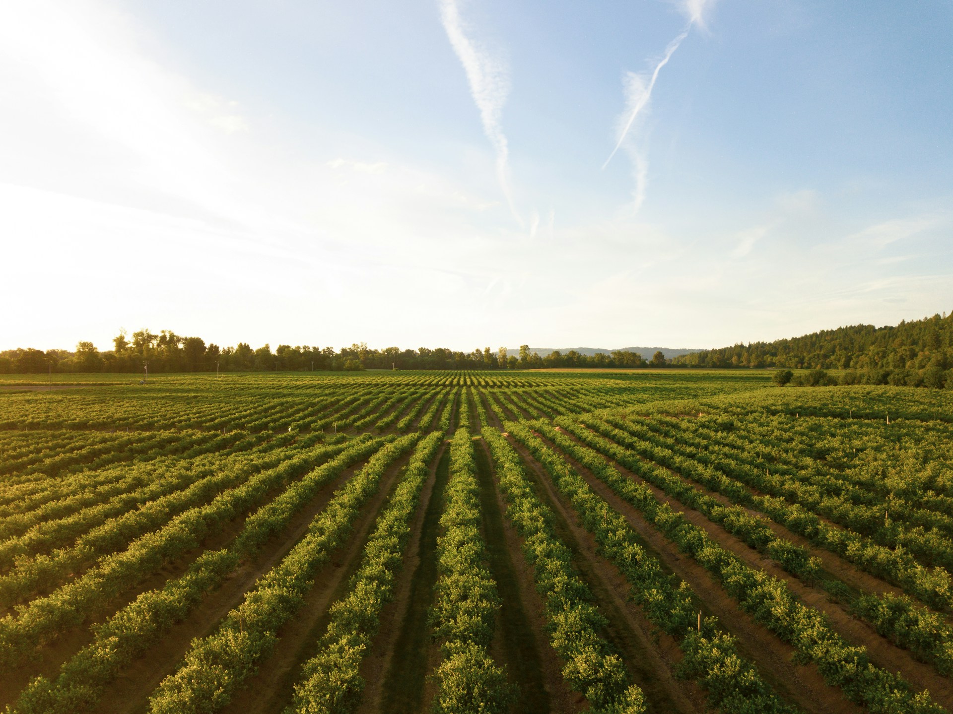 Kostenlose Klimaschutzberatung für Landwirtschaftsbetriebe im Landkreis Cloppenburg