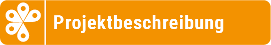 Link Projektbeschreibung